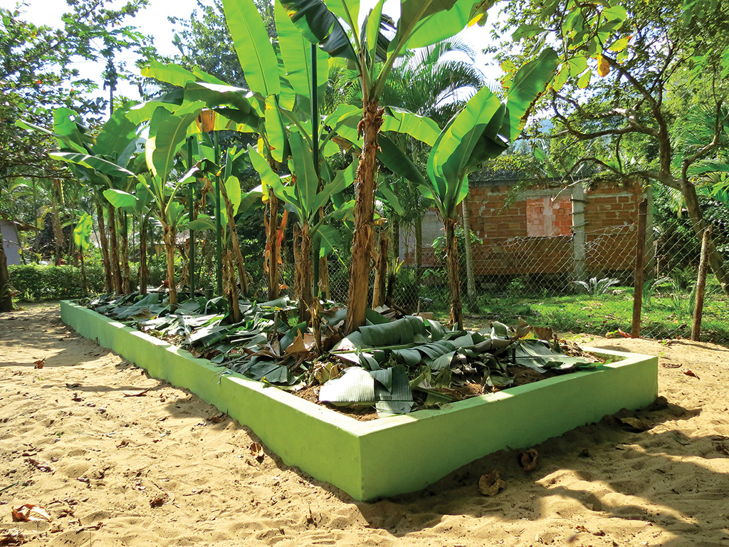 Modelo de fossa já pronta, com bananeiras plantadas na superfície