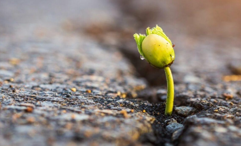 Sobre resiliência