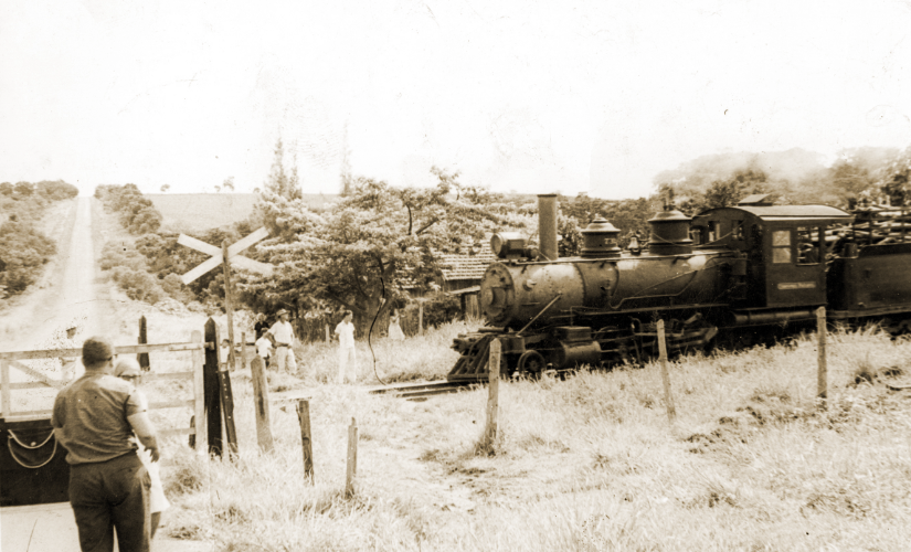 Fotos inéditas mostram o trem para Sodrélia